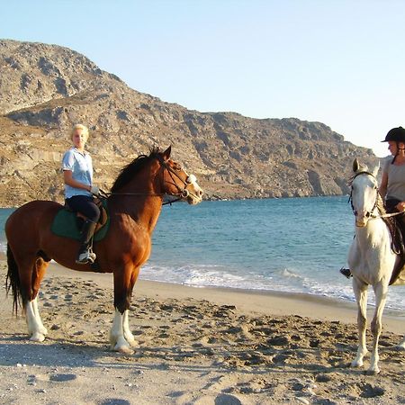 Alianthos Beach Hotel Plakias Zewnętrze zdjęcie