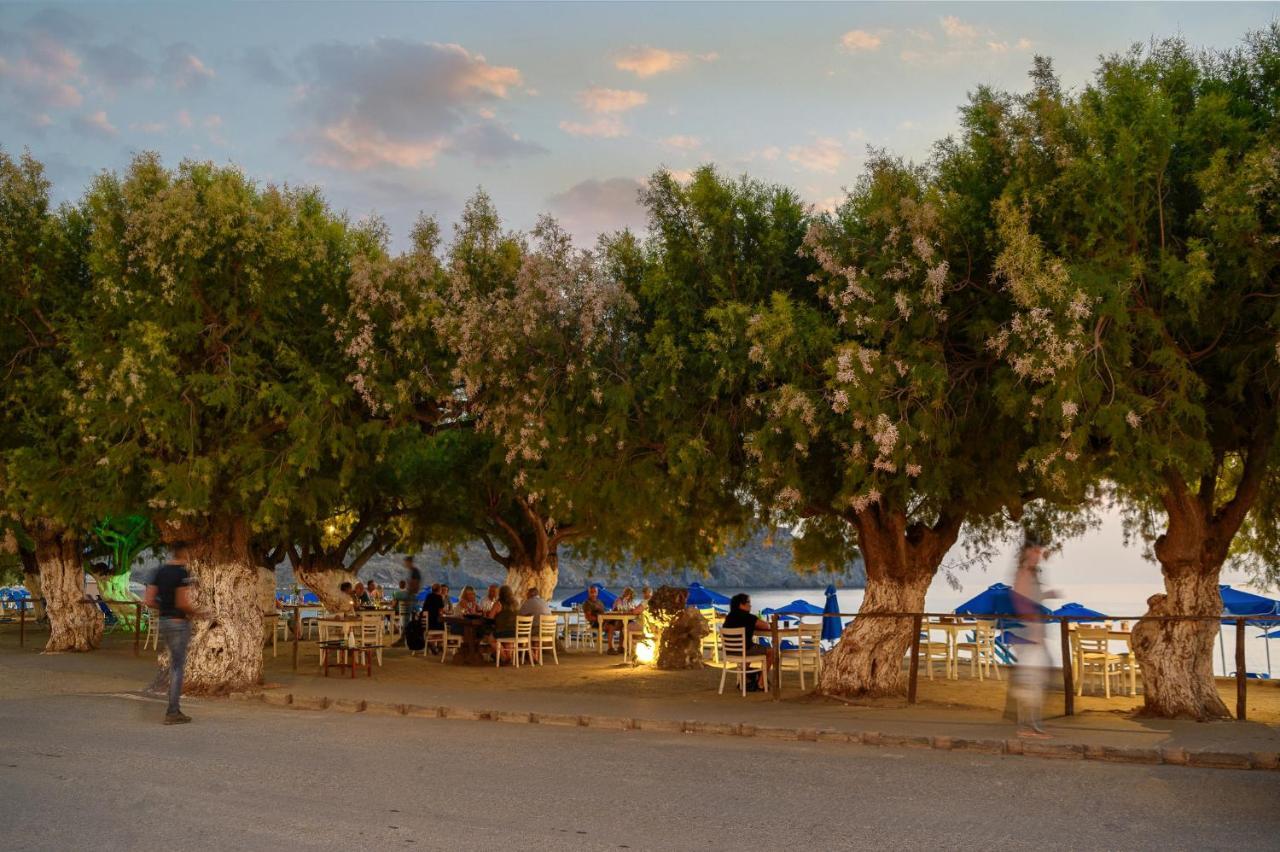 Alianthos Beach Hotel Plakias Zewnętrze zdjęcie