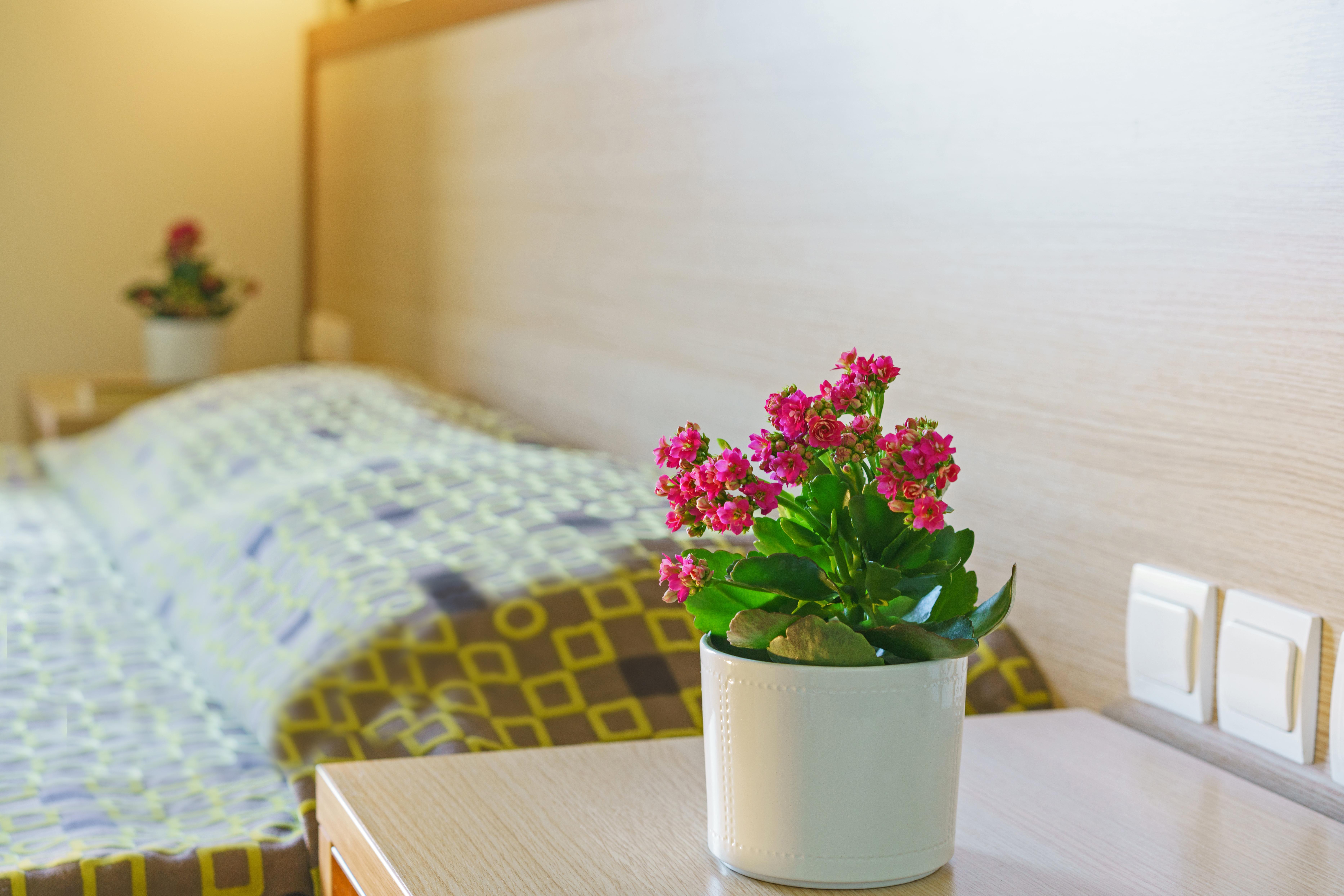 Alianthos Beach Hotel Plakias Zewnętrze zdjęcie