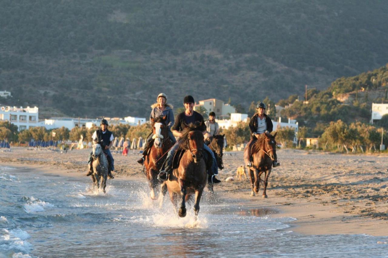 Alianthos Beach Hotel Plakias Zewnętrze zdjęcie